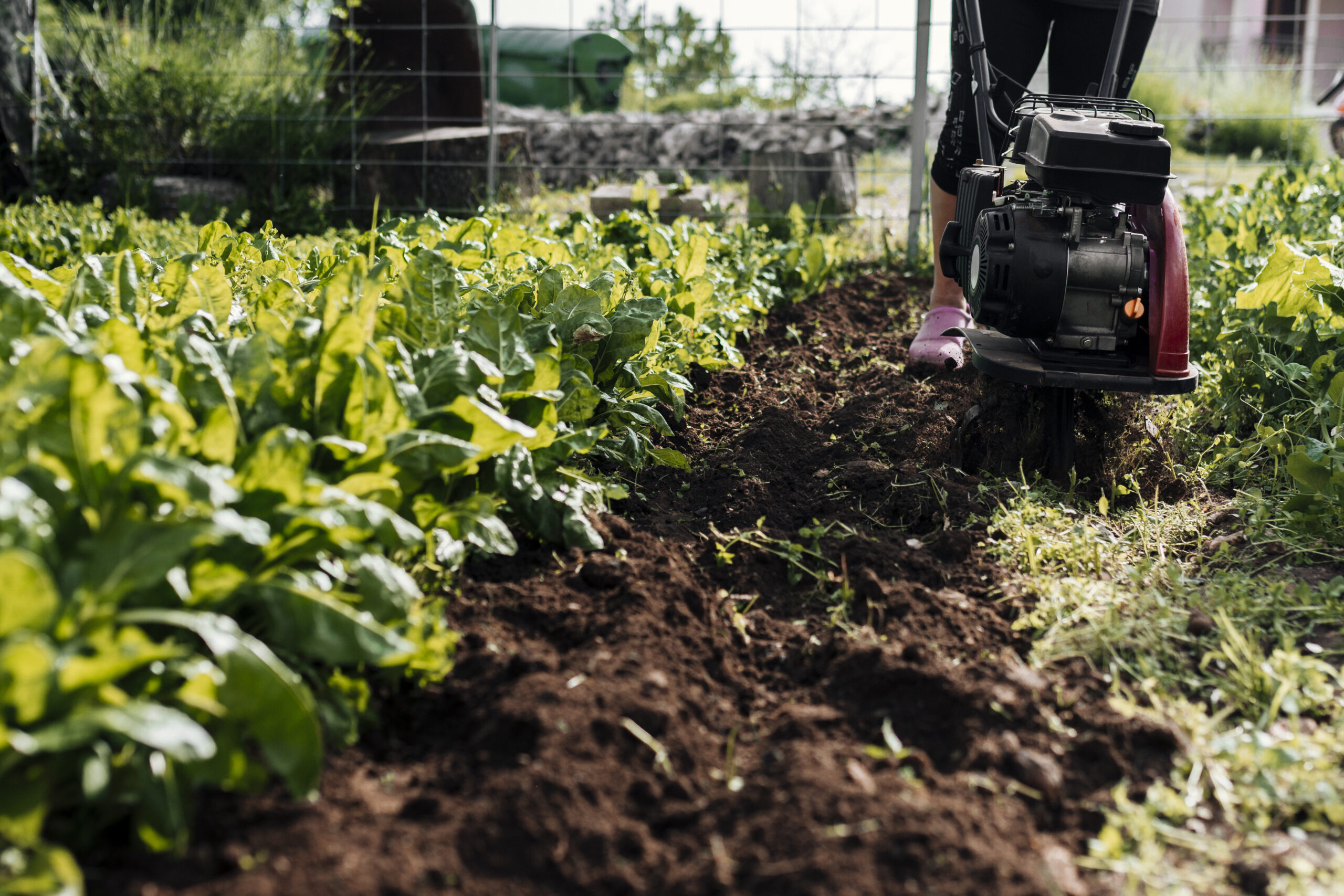 Pesticidas en cultivos