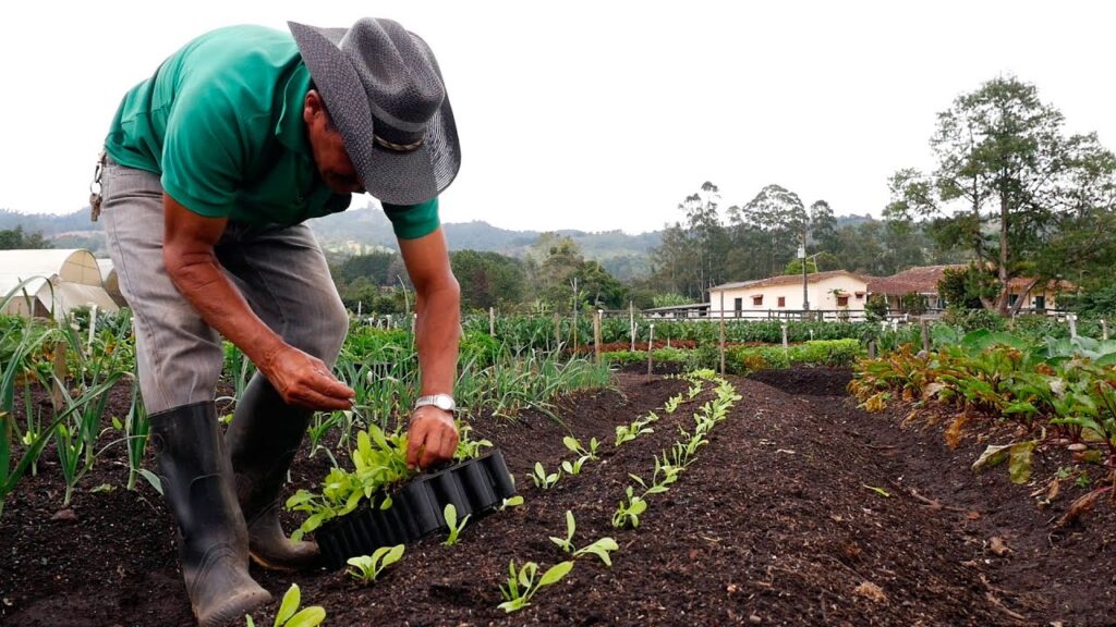 agricultura orgánica