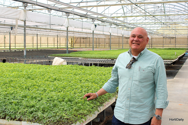 “En nuestros semilleros de El Plantel hemos logrado despreocuparnos de la ‘Tuta’ en tomate”